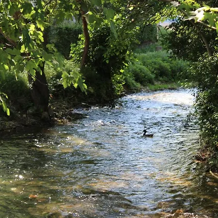 Luxury Olivia Appartamento *